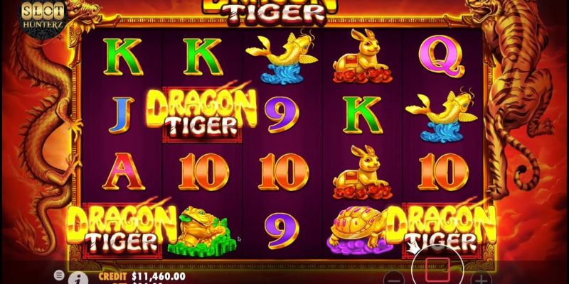 Discover the gates of the Dragon Tiger game