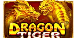 Dragon Tiger VC77 revealed the effective play tips
