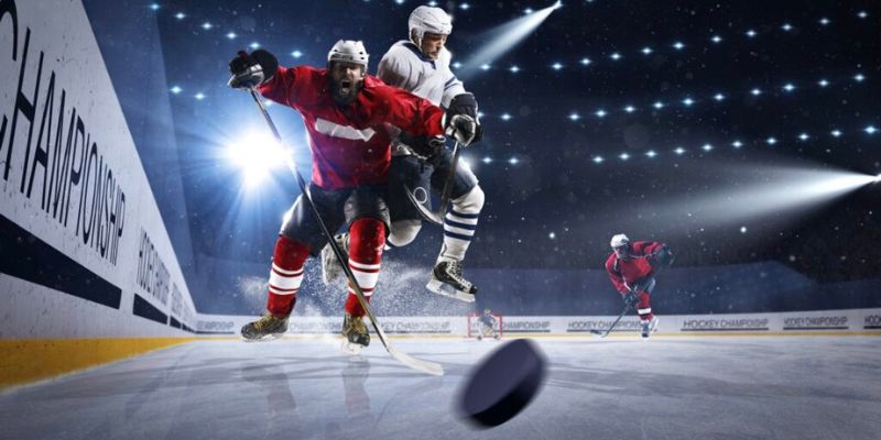 Diverse types of rafters for players to choose flexibly